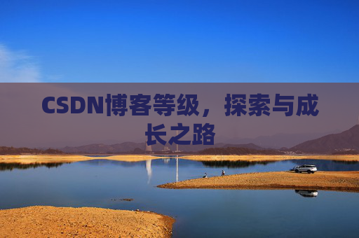 CSDN博客等级，探索与成长之路